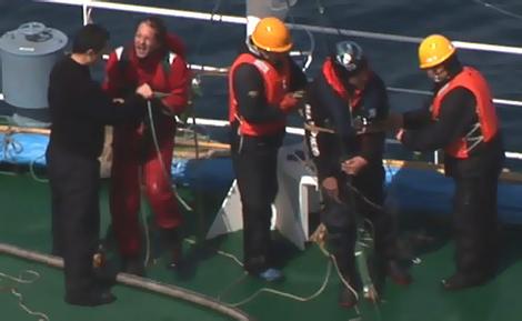 Anti whalers taken hostage