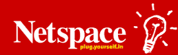 Netspace Icon